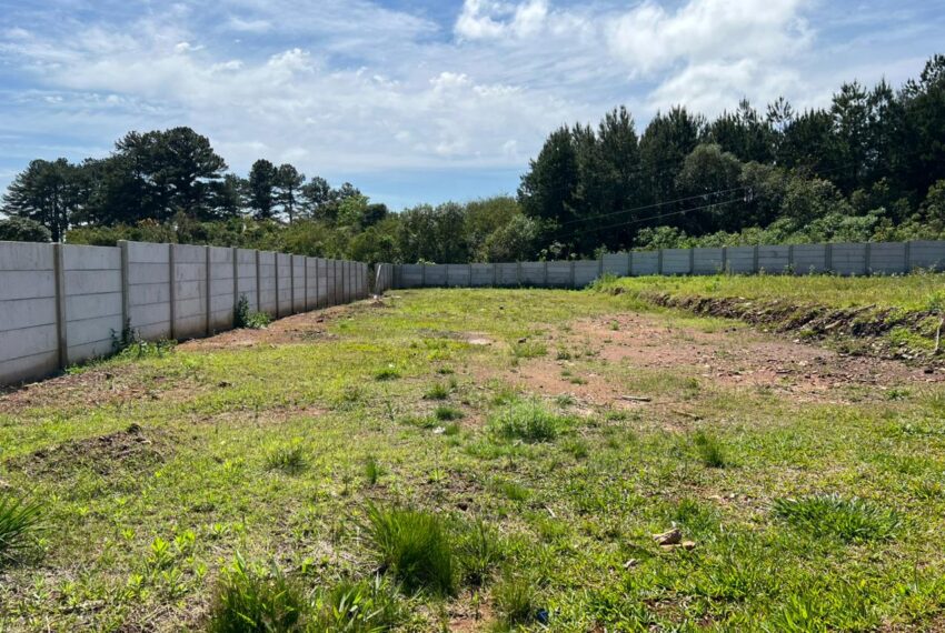 68b768e3-63d4-4056-b1ae-1c9f6d37deba