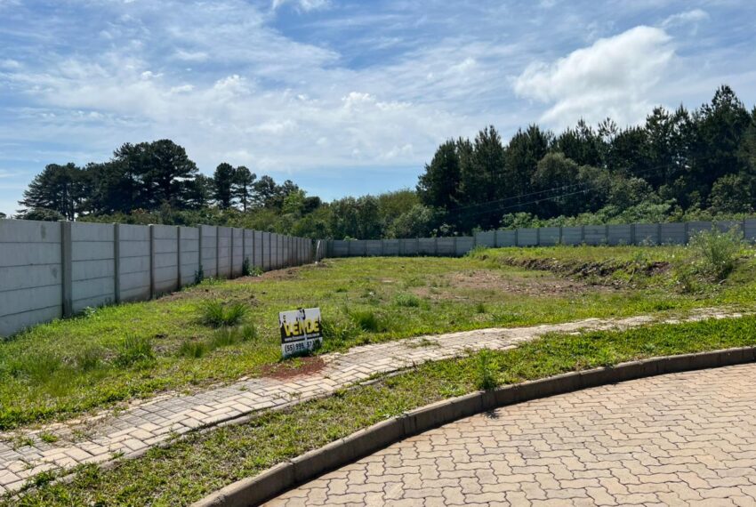 6af526b3-f9f3-459a-8ac2-45c2d2167321