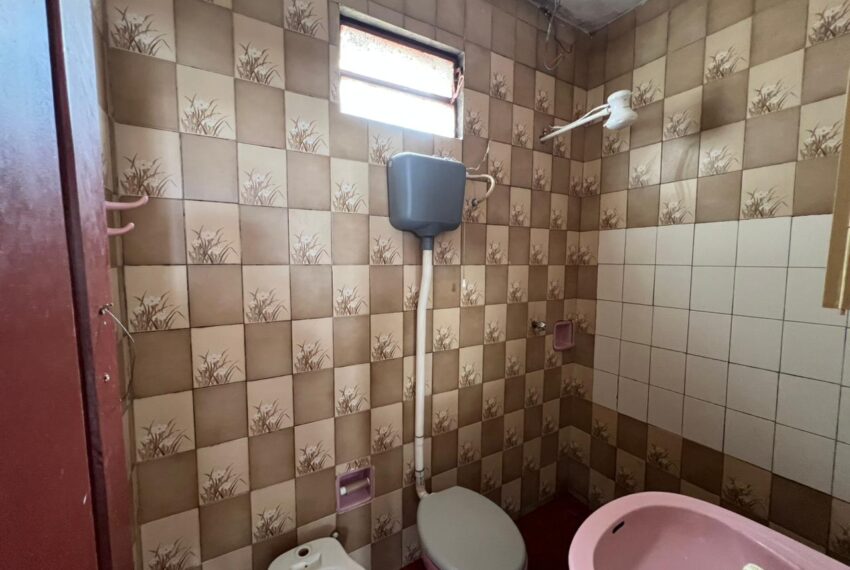 b0af9a50-a541-43ad-82ea-65dae4b23ca0