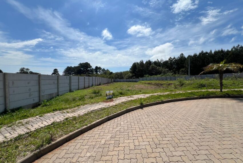 b4ac21ae-46ed-4730-93e6-d34d33e1dd38