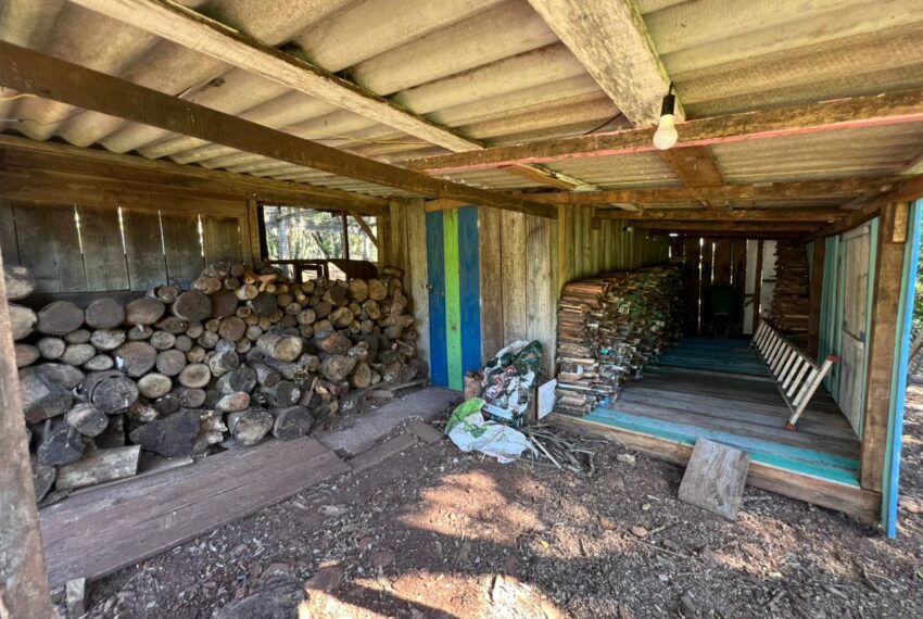 0348e474-8525-44dc-8b60-e35385805e4a