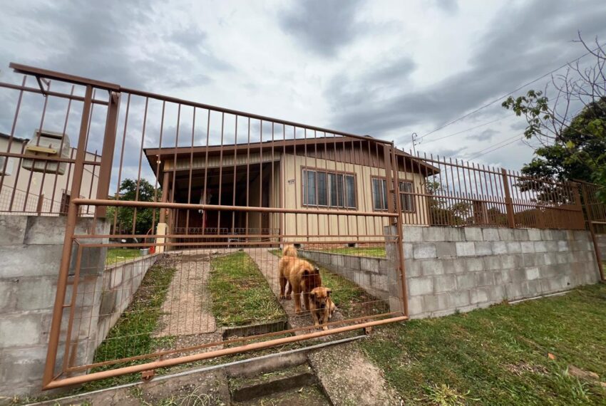 0ae5c7a6-d677-41c6-9fc6-fee9442add67