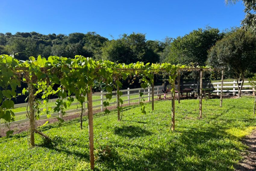 534e1079-0212-4296-a681-dba15412345c