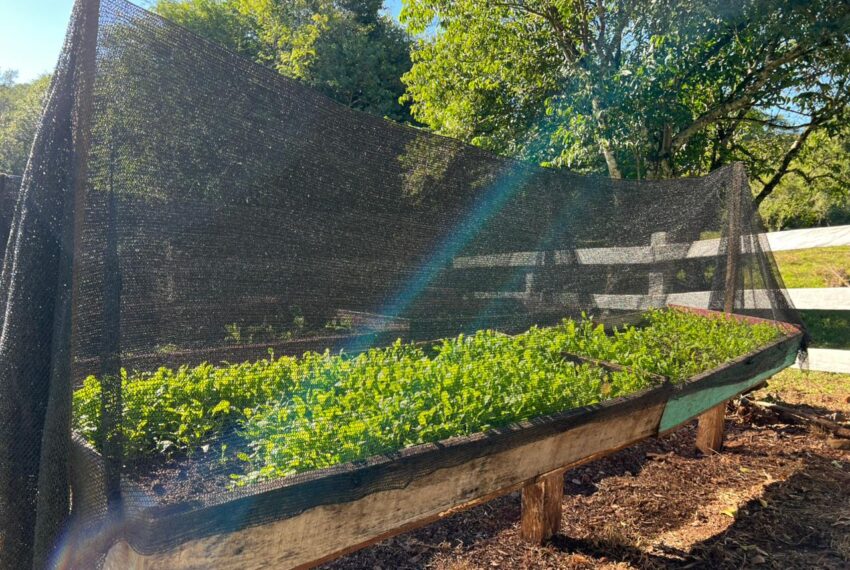 6443532b-3795-41da-b7fc-8719dd09c7c5