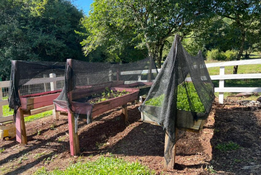 6dc3df8a-d80b-453b-9e32-19c67f1ad615