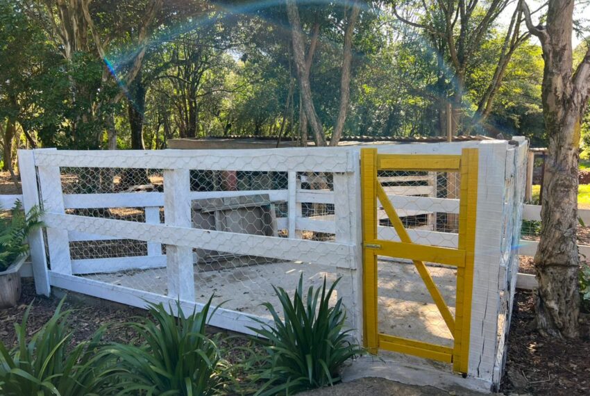 d14dd259-8306-49f6-92c3-c8f165441d93