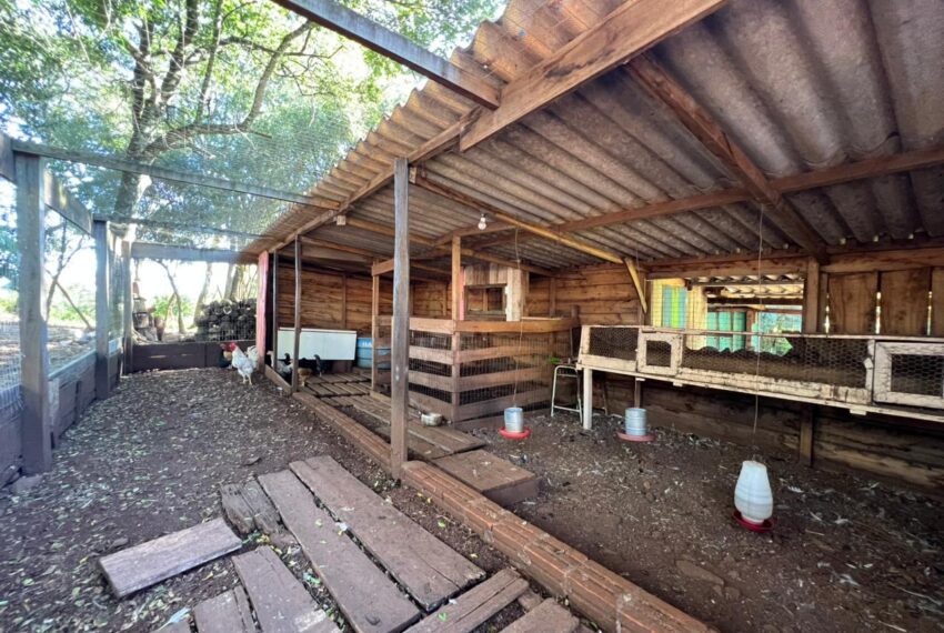 d869ecb4-3a82-45aa-b1a8-ab367e3f95f4