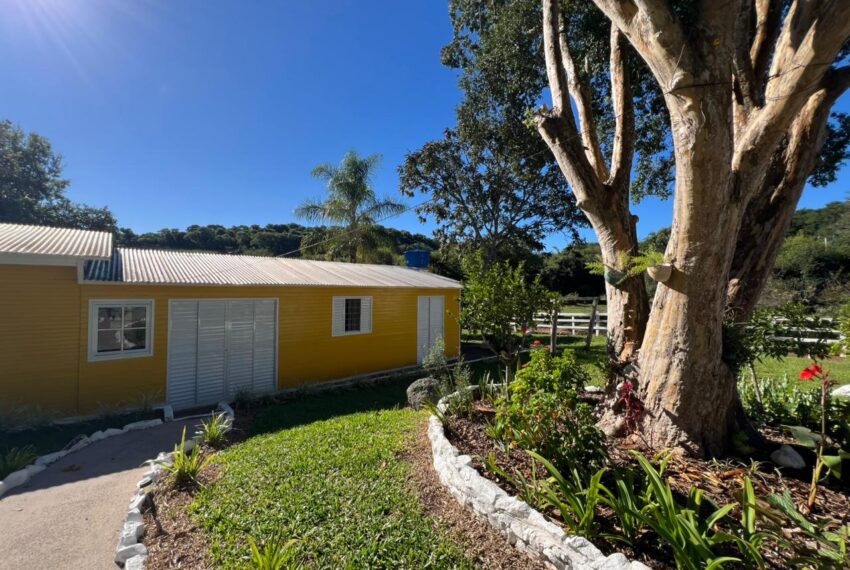 eafd41b2-2b06-4a00-8dd4-025c06433346