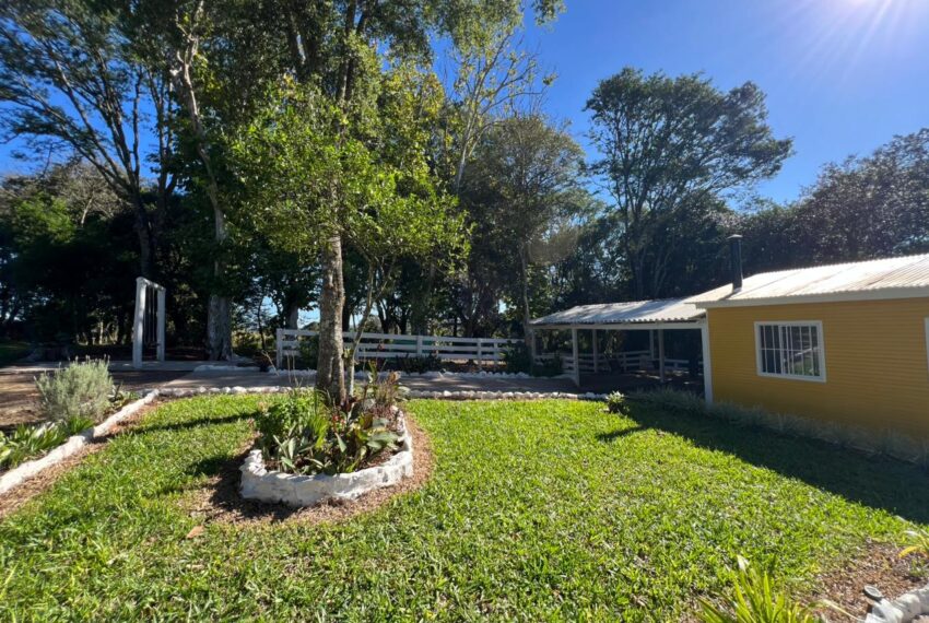 fece6461-fef9-4fb0-8a8c-d393782c8ad7